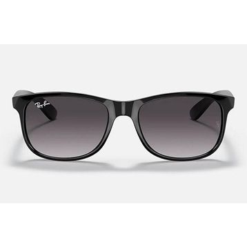 Ray-Ban 0RB4202 Erkek Güneş Gözlüğü