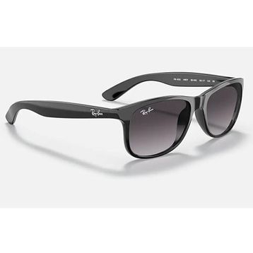 Ray-Ban 0RB4202 Erkek Güneş Gözlüğü