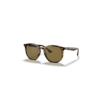 Ray-Ban 0rb4306 710/73 54 Unisex Güneş Gözlüğü