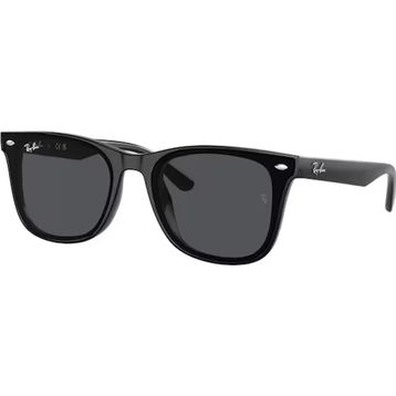 Ray-Ban 0RB4420 601 87 65x18x145 Erkek Güneş Gözlüğü