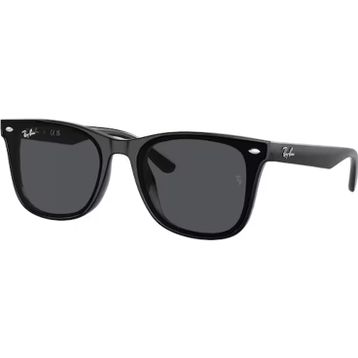 Ray-Ban 0RB4420 601 87 65x18x145 Erkek Güneş Gözlüğü