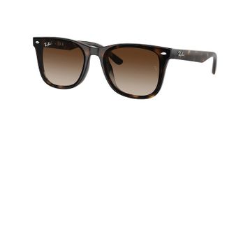 Ray-Ban 0RB4420 710/13 65 Unisex Güneş Gözlüğü