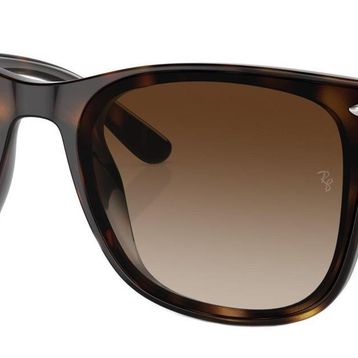Ray-Ban 0RB4420 710/13 65 Unisex Güneş Gözlüğü