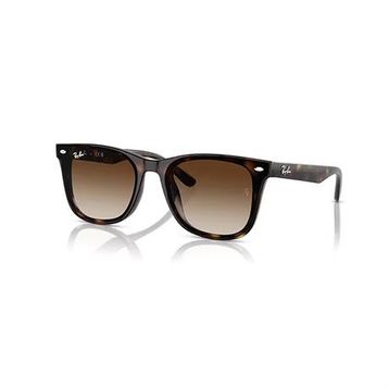 Ray-Ban 0RB4420 710/13 65 Unisex Güneş Gözlüğü