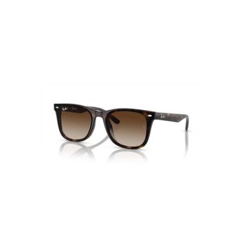 Ray-Ban 0RB4420 710/13 65 Unisex Güneş Gözlüğü
