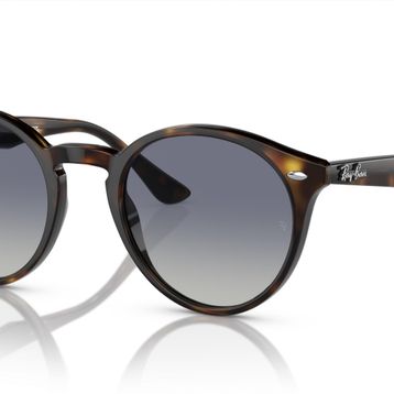 Ray-Ban 2180 710/4L 49-21 Unisex Güneş Gözlüğü