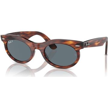 Ray-Ban 2242 954/3R 50-22 Unisex Güneş Gözlüğü