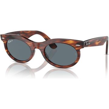 Ray-Ban 2242 954/3R 50-22 Unisex Güneş Gözlüğü
