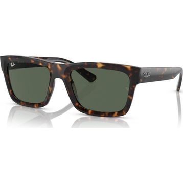Ray-Ban 4396 135971 54-20 Unisex Güneş Gözlüğü