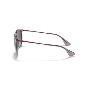 Ray-Ban Erika RB 4171 65138G 54 Şeffaf Gri Unisex Güneş Gözlüğü