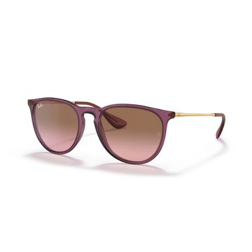 Ray-Ban Erika RB 4171 Unisex Güneş Gözlüğü