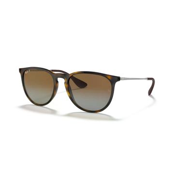 Ray-Ban Erika RB 4171 Unisex Güneş Gözlüğü