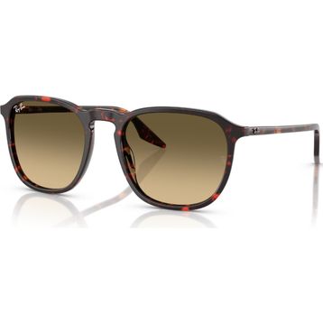 Ray-Ban RB 2203 14290A 55 Unisex Güneş Gözlüğü