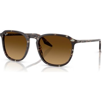 Ray-Ban RB 2203 143185 55 Unisex Güneş Gözlüğü