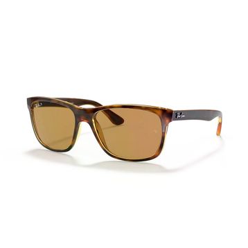 Ray-Ban RB 4181 Güneş Gözlüğü