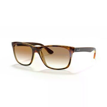 Ray-Ban RB 4181 Güneş Gözlüğü