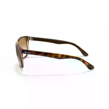Ray-Ban RB 4181 Güneş Gözlüğü