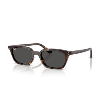Ray-Ban RB 4456 135987 53 Zaya Unisex Güneş Gözlüğü
