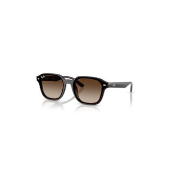 Ray-Ban RB 4458D 714/13 65 Unisex Güneş Gözlüğü
