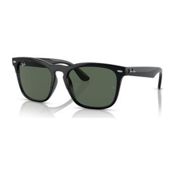 Ray-Ban RB 4487 Steve 6629/71 54 18 145 3n Kadın Güneş Gözlüğü