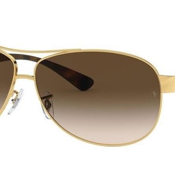 Ray-Ban RB33860011363 Unisex Güneş Gözlüğü