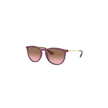 Ray-Ban RB4171 6591/14 54 Unisex Güneş Gözlüğü