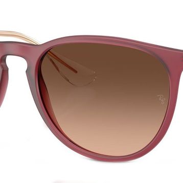 Ray-Ban RB4171 6815A5 54 Kadın Güneş Gözlüğü