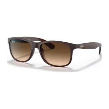 Ray-Ban RB4202 55 6073-13 Erkek Güneş Gözlüğü