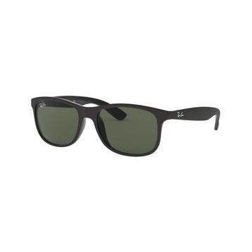 Ray-Ban RB4202606971 Unisex Güneş Gözlüğü