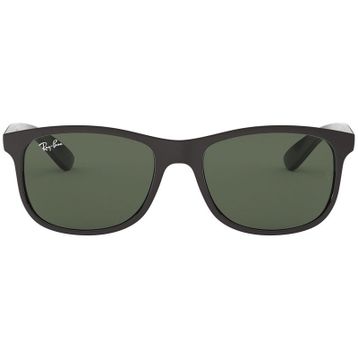 Ray-Ban RB4202606971 Unisex Güneş Gözlüğü
