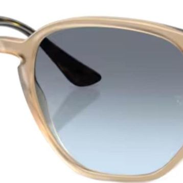 Ray-Ban RB4306 6788/V1 54 Unisex Güneş Gözlüğü