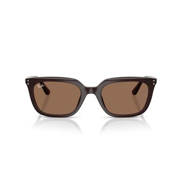 Ray-Ban RB4439D 6231 73 54 Kahverengi Unisex Güneş Gözlüğü