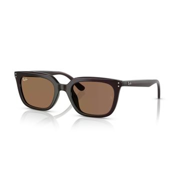 Ray-Ban RB4439D 6231 73 54 Kahverengi Unisex Güneş Gözlüğü
