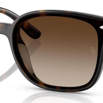 Ray-Ban RB4461D 710 13 64 Unisex Güneş Gözlüğü