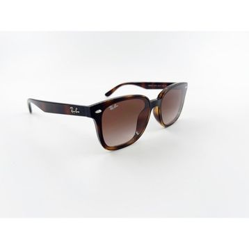 Ray-Ban RB4461D 710 13 64 Unisex Güneş Gözlüğü