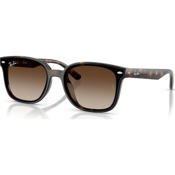 Ray-Ban RB4461D 710 13 64 Unisex Güneş Gözlüğü