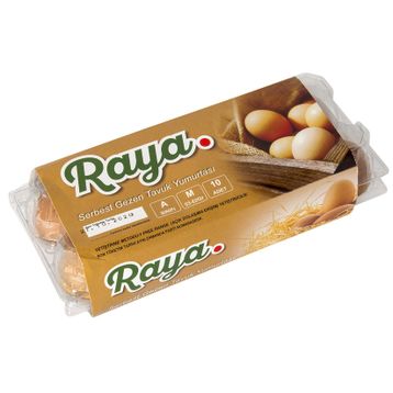 Raya 10'lu Gezen Tavuk Yumurtası