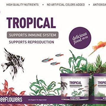 Reeflowers 1 lt Tropical Balık Yemi