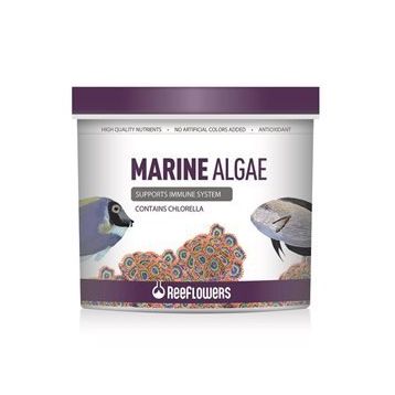Reeflowers 250 ml Marine Algae Tuzlu Su Balık Yemi