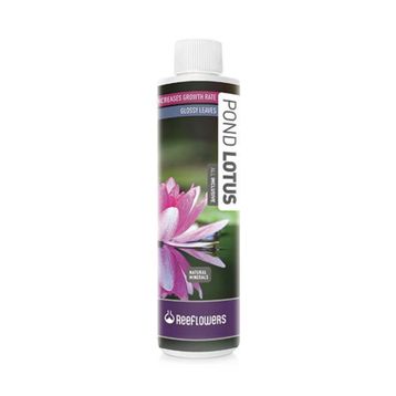 Reeflowers 3000 ml Pond Lotus All Inclusive Bitki Besini