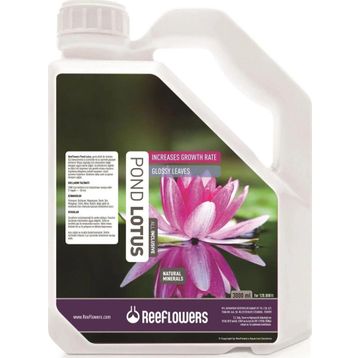 Reeflowers 3000 ml Pond Lotus All Inclusive Bitki Besini