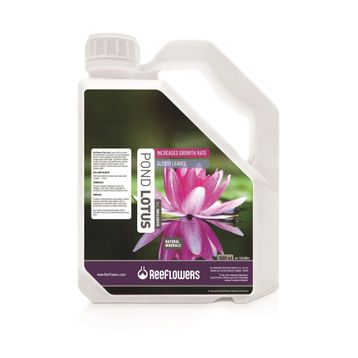 Reeflowers 3000 ml Pond Lotus All Inclusive Bitki Besini