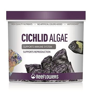 Reeflowers 500 ml Cichlid Algae Balık Yemi