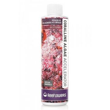 Reeflowers 500 ml Coralline Algae Accelerator Coralline Algae Besleyici