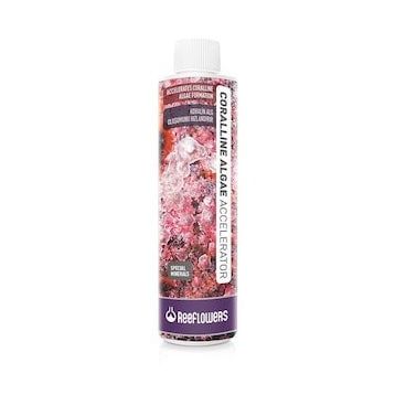Reeflowers 500 ml Coralline Algae Accelerator