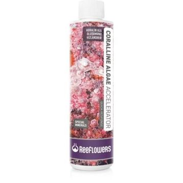 Reeflowers 500 ml Coralline Algae Accelerator