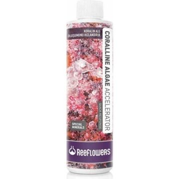 Reeflowers 500 ml Coralline Algae Accelerator