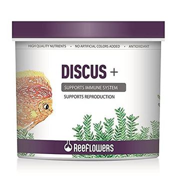 Reeflowers 500 ml Discus Balık Yemi