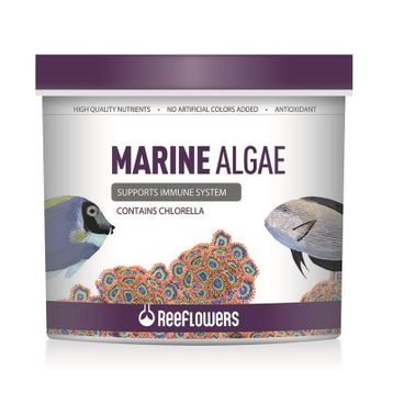 Reeflowers 500 ml Marine Algae Tuzlu Su Balık Yemi