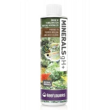 Reeflowers 500 ml Minerals Gh+ Tatlı Su Üreme ve Renklenme Destek Katkısı